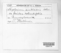 Image Associated With the Occurence